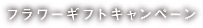 フラワーギフトキャンペーン